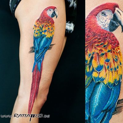 papagei_tattoo_tattoostudio_freiburg